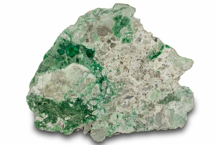 Polished Deep Green Lucin Variscite - Utah #314789